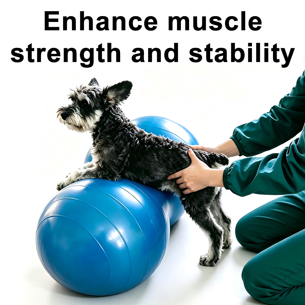 Dog Peanut Shape PVC Yoga Ball - огляд і ціна Bosu Ball Balance